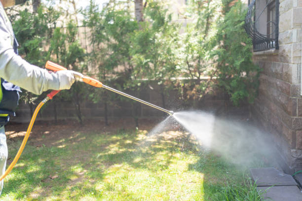 Best Wasp Removal Services  in Williamsburg, PA