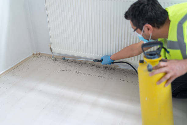 Best Ant Control Services  in Williamsburg, PA