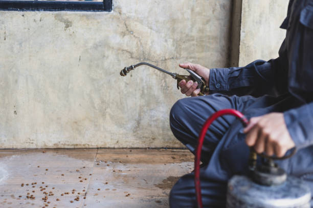Best Emergency Pest Control  in Williamsburg, PA