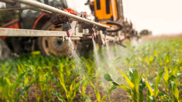 Best Mosquito Control Services  in Williamsburg, PA
